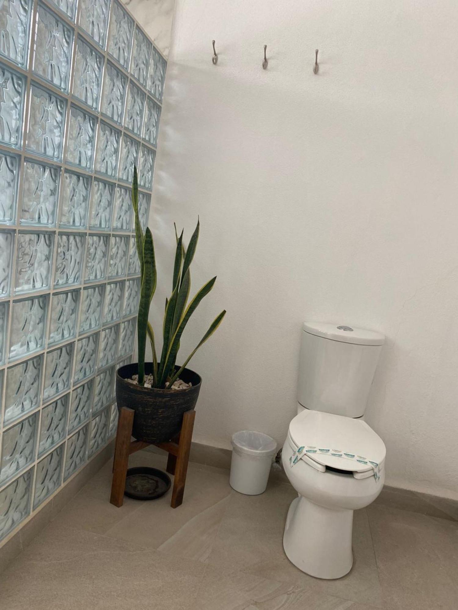 Hotel La Lejona San Miguel de Allende Buitenkant foto